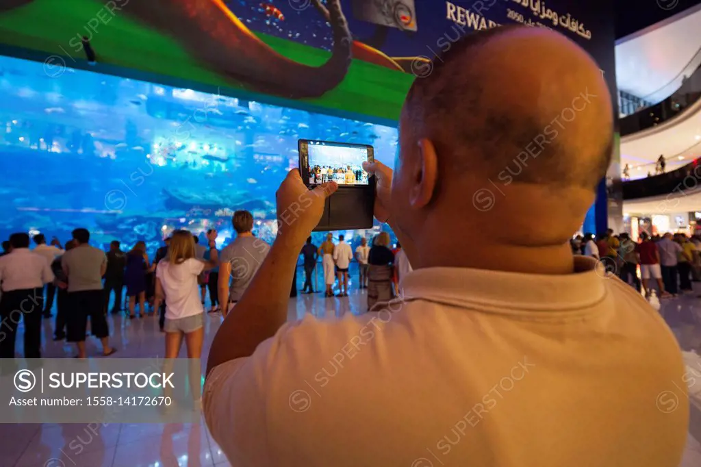 UAE, Dubai, Downtown Dubai, Dubai Mall, interior, aquarium