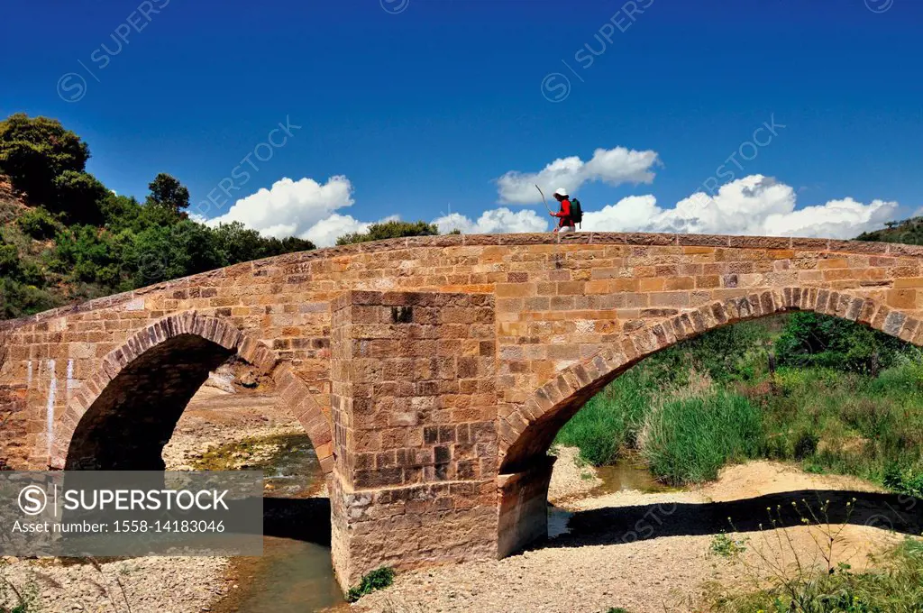 Spain, Navarre, pilgrim on the Romanesque pilgrim's bridge of Lorca,