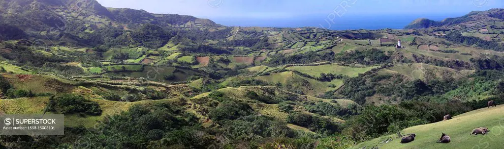 Marlboro Hills, Batan Island, Batanes, Philippines, Asia