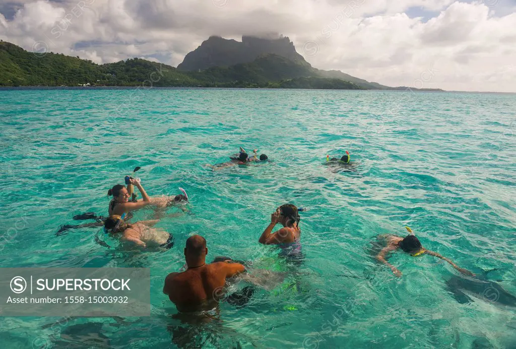 Tourists swimming with sting rays, Bora Bora, French Polynesia