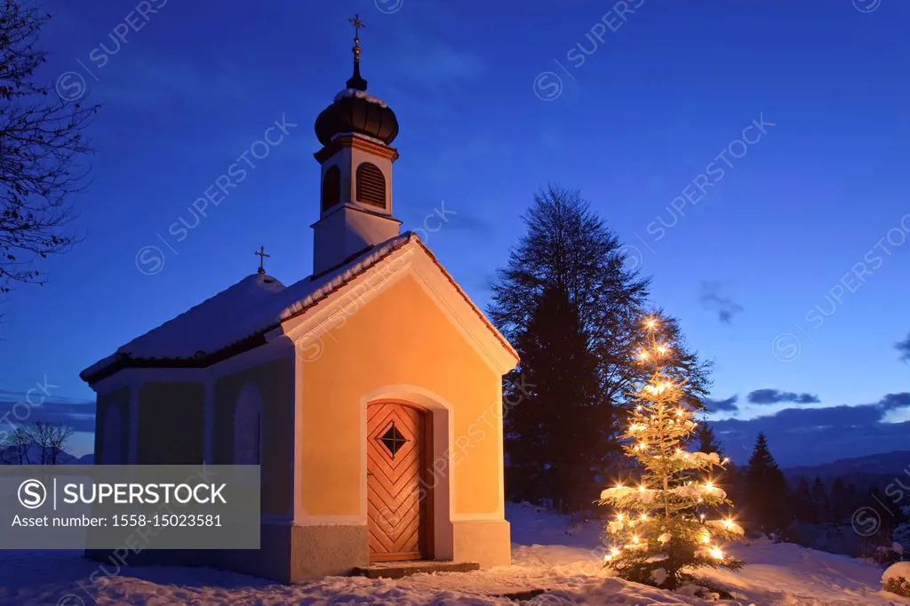 Christmas tree before the Chapel Maria Rast near Krün, Upper Bavaria, Bavaria, Germany,