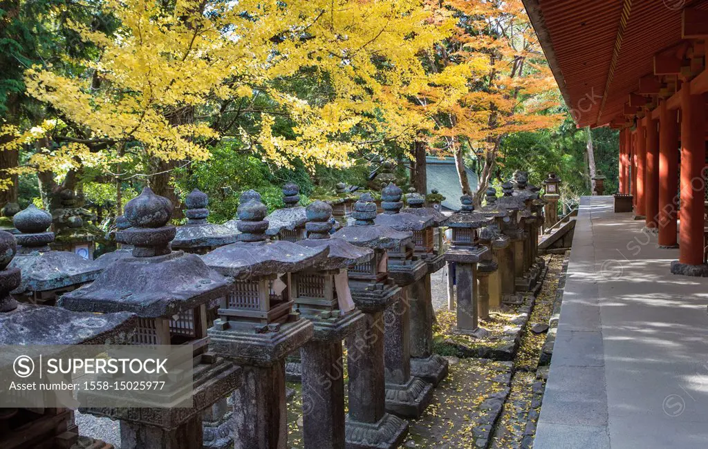 Japan, Nara City, Kasuga Taisha Shinto Shrine,