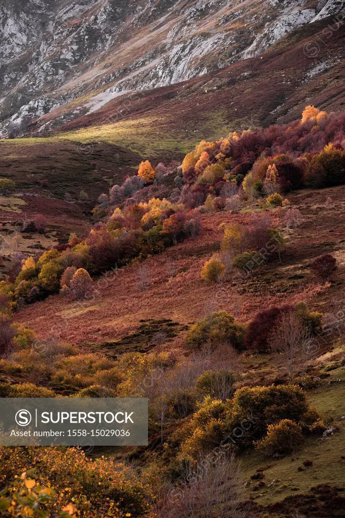 Autumn landscape in the Picos de Europa, Cantabria, Spain