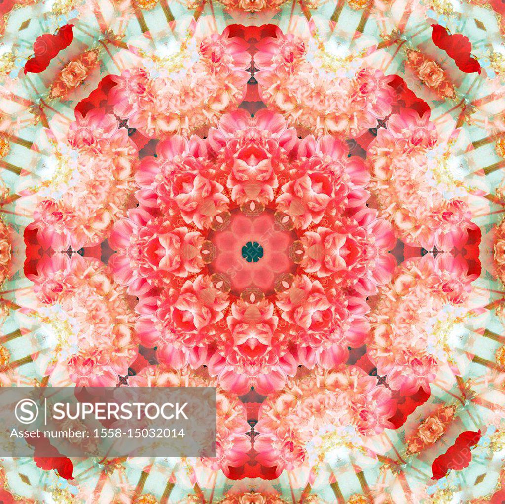 photographic flowers mandala - SuperStock