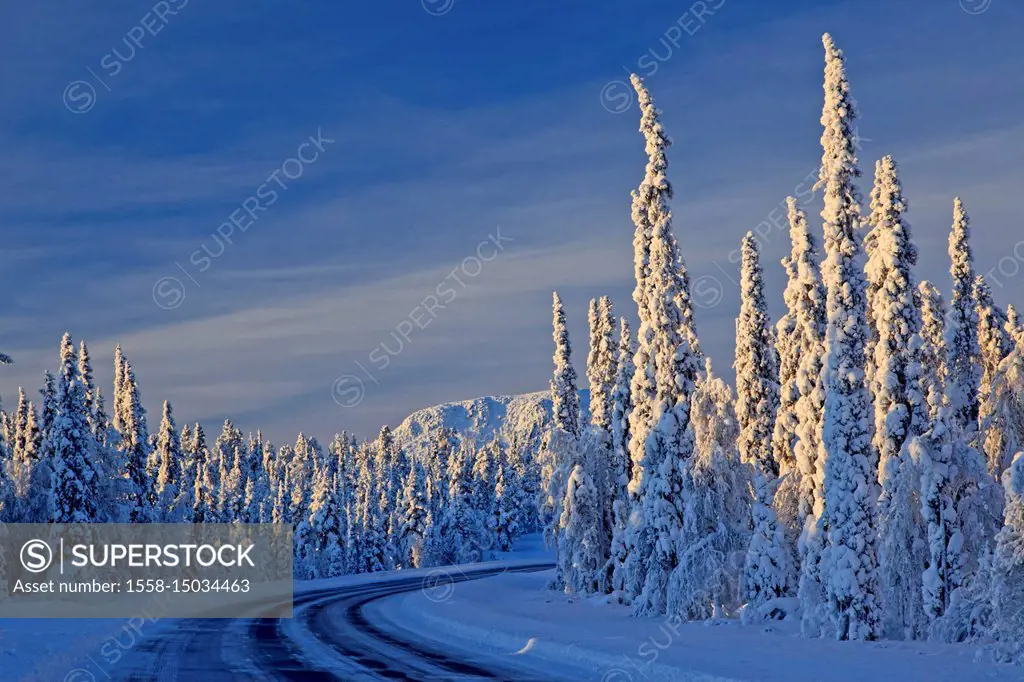 Sweden, Swedish Lapland, Laponia, winter scenery, trees, street,