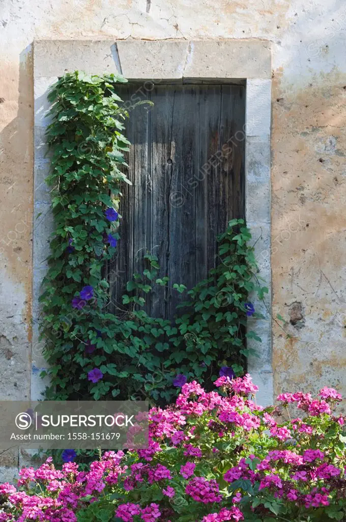 Greece, Ionic islands, island kefalonia, Assos, house, old, detail, windows, flowers, overgrown, Europe, destination, Mediterranean_island, village, r...