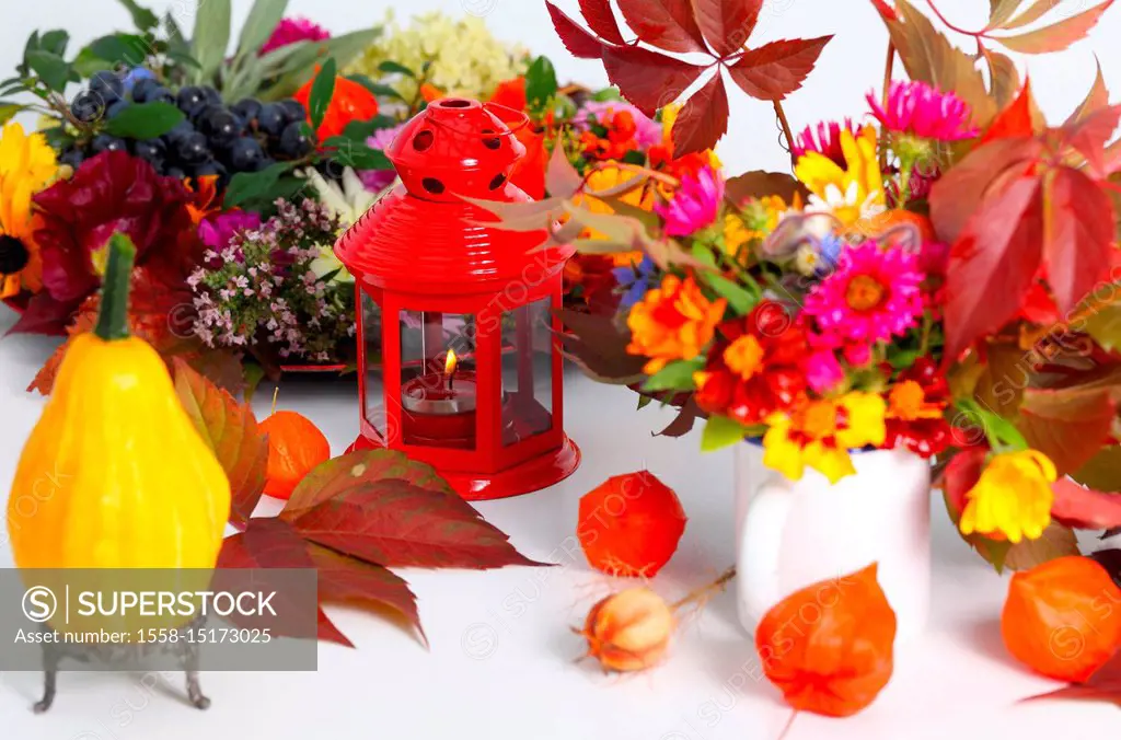 Ornamental pumpkin and autumn fruits as table decoration