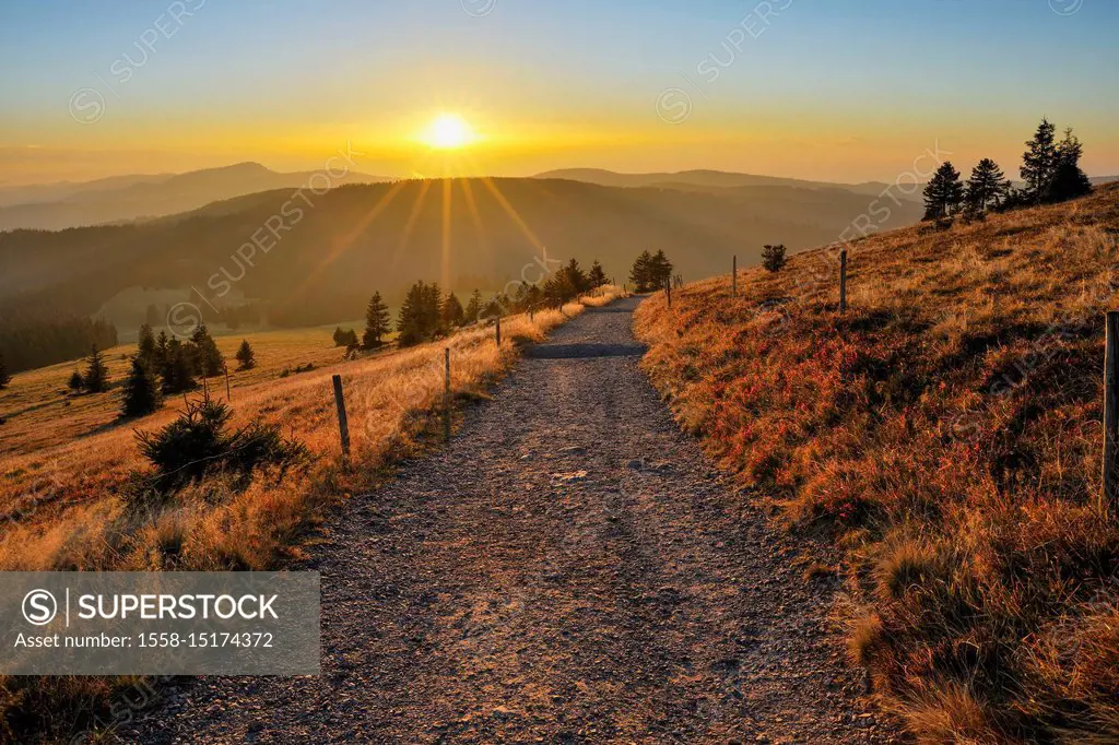 Path at sunset, Feldberg, Black Forest, Baden Wurttemberg, Germany