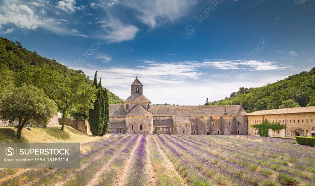 Senanque abbey, near Gordes, Provence, France