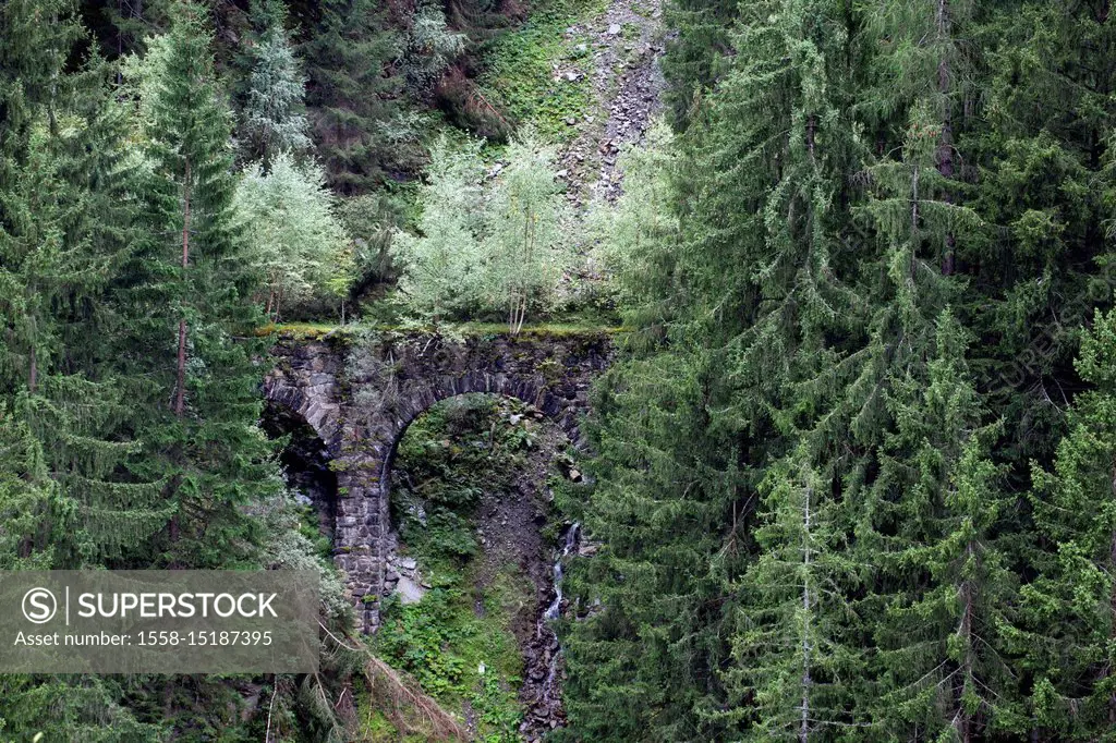 Stone arch bridge of a decayed railway line