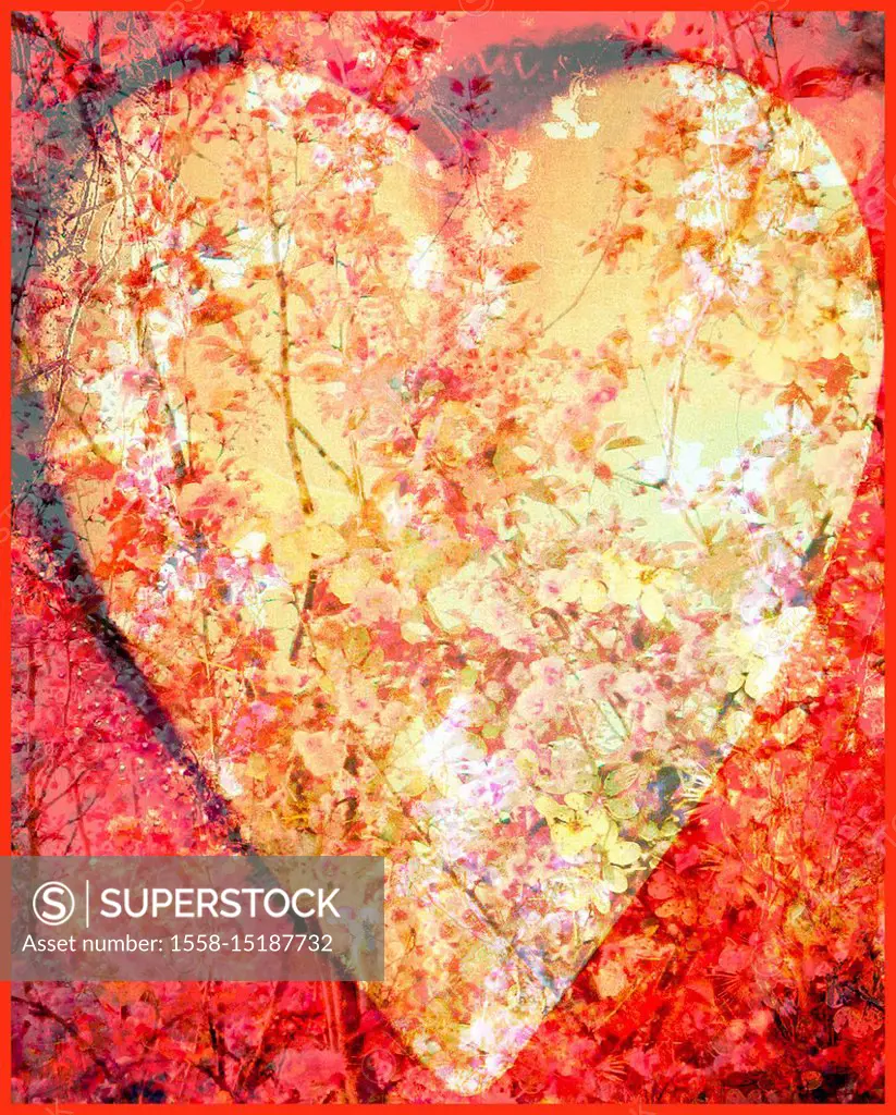 photomontage, heart, flowers,