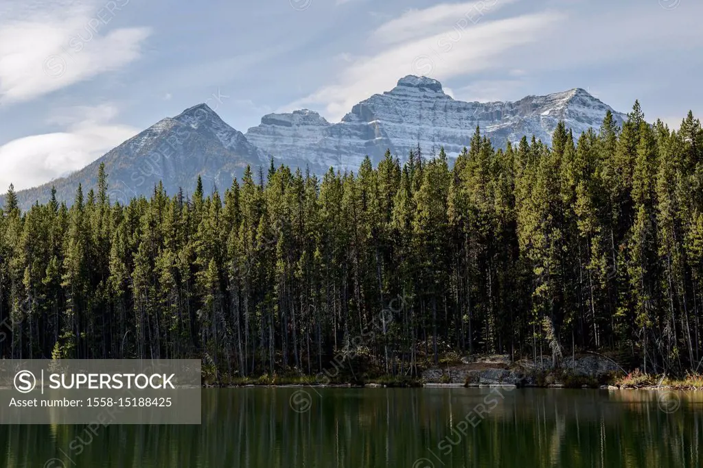 Banff National Park, Herbert Lake, forest, Rocky Mountains