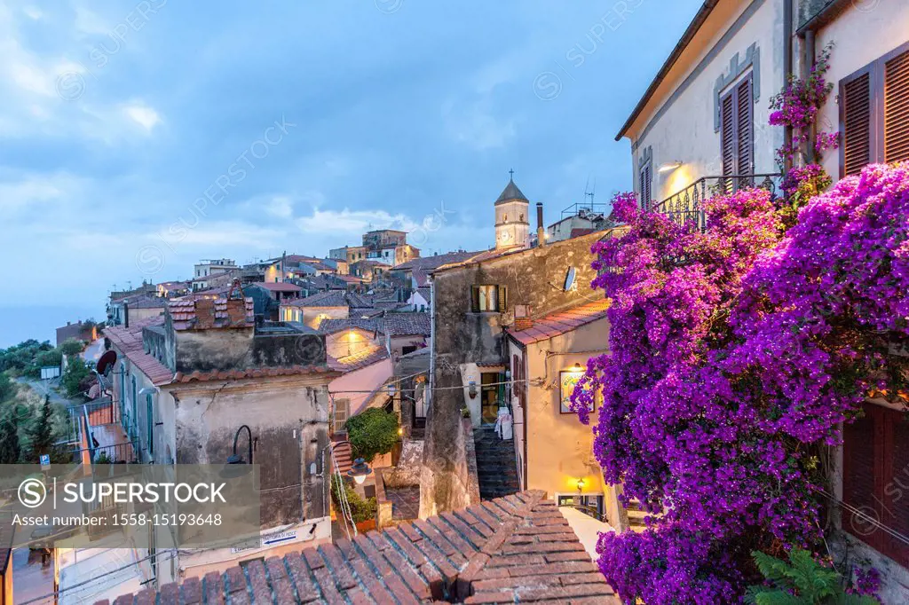 Old town at dusk, Capoliveri, Elba Island, Livorno Province, Tuscany, Italy