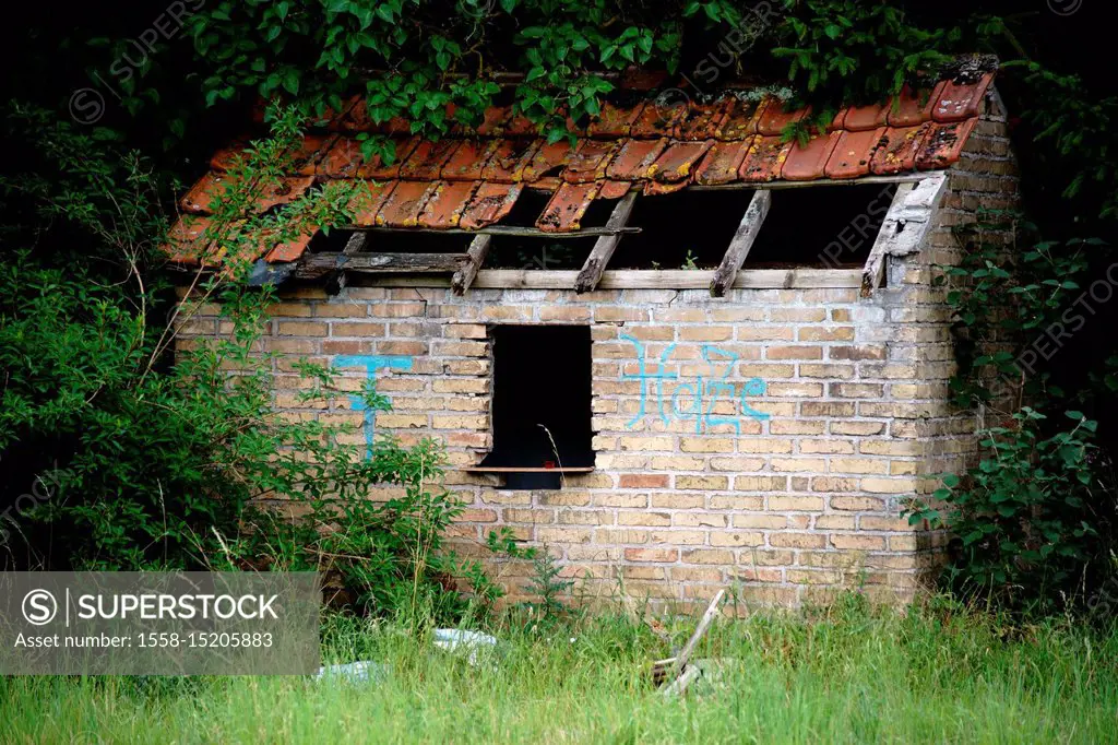 Old overgrown ramshackle hut.