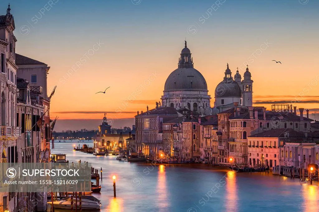 Grand Canal at night with Basilica Santa Maria della Salute, Venice, Italy