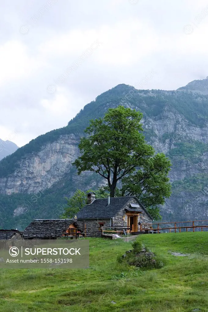 Switzerland, Tessin, Valle Verzasca, Monte Valdo, cottage