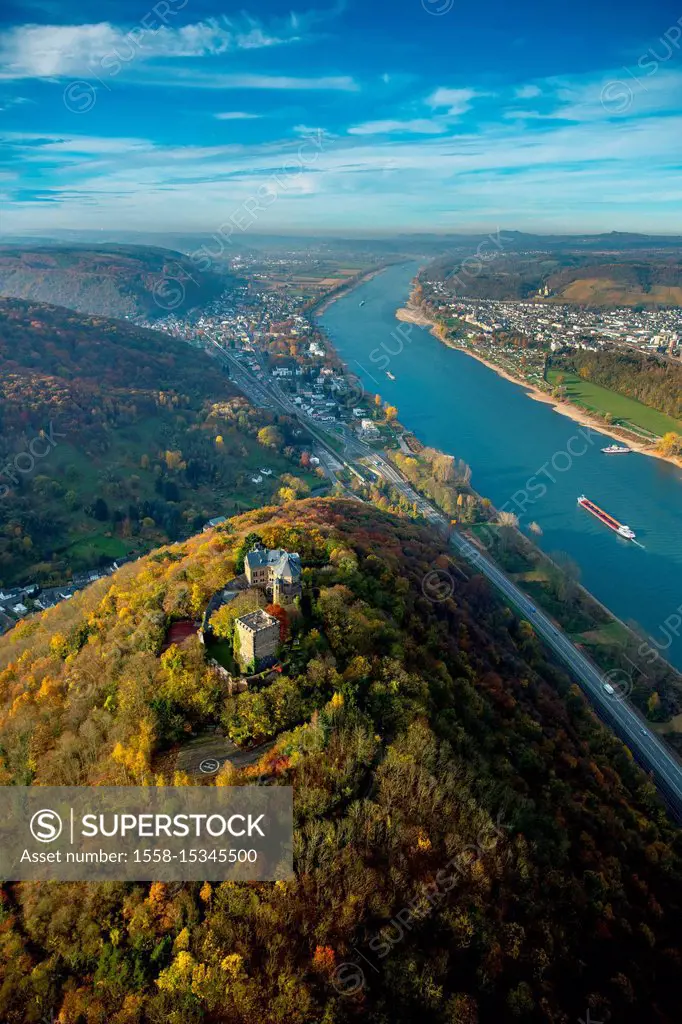 Castle Reineck in Rhine Valley, Rhine, autumn leaves, Bad Breisig, Ahrweiler district, Rhineland-Palatinate, Germany