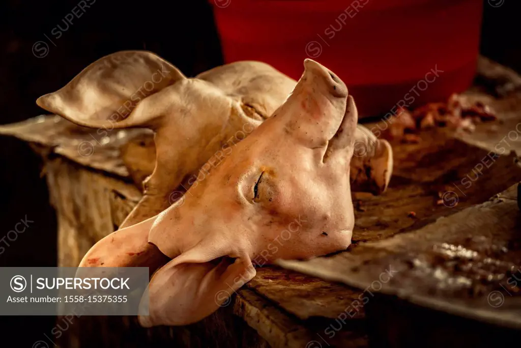 Asia, Southeast Asia, South Vietnam, Vietnam, Mekong Delta, market, meat sale, pork heads