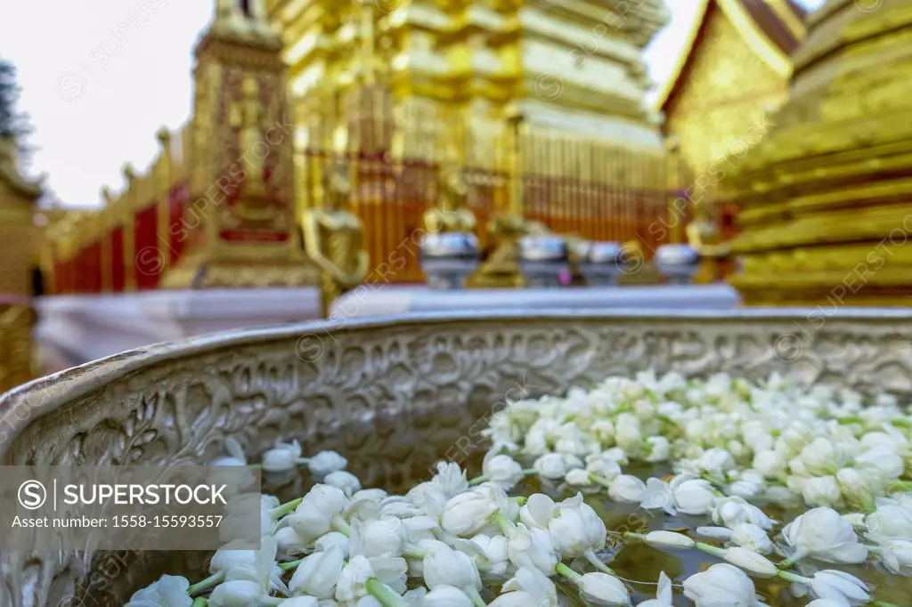 Wat Phra That Doi Suthep in Chiang Mai, Thailand