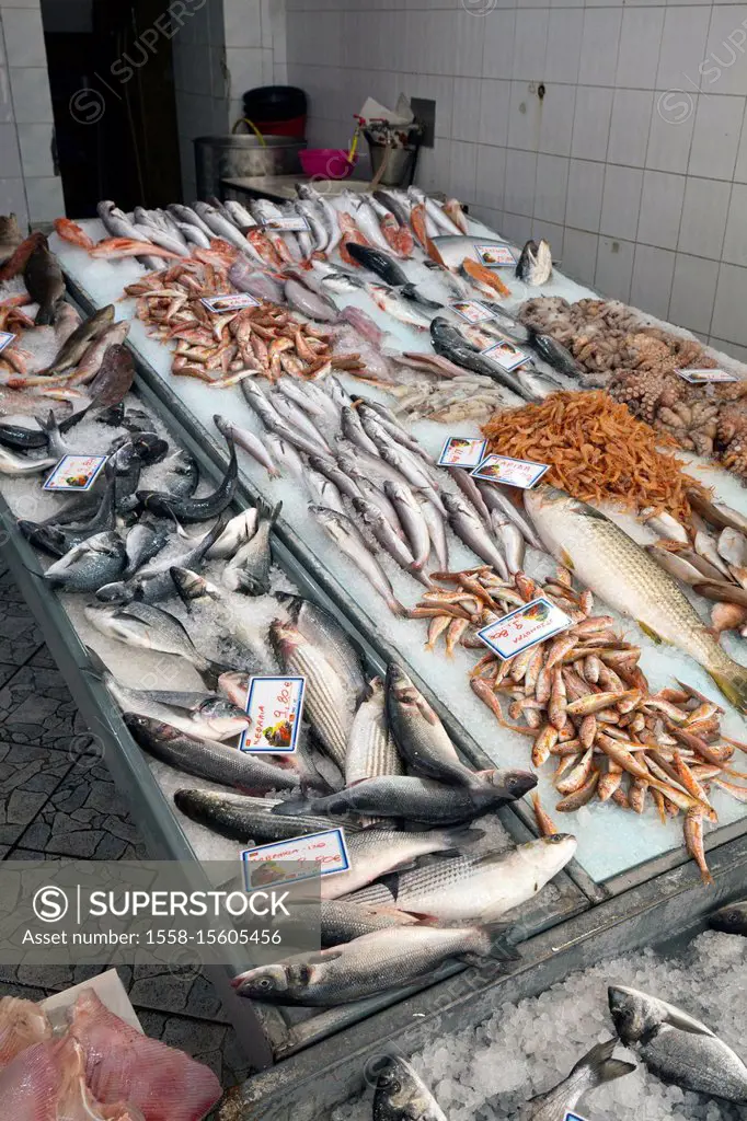 Display with fresh fish in Pirgos in Greece