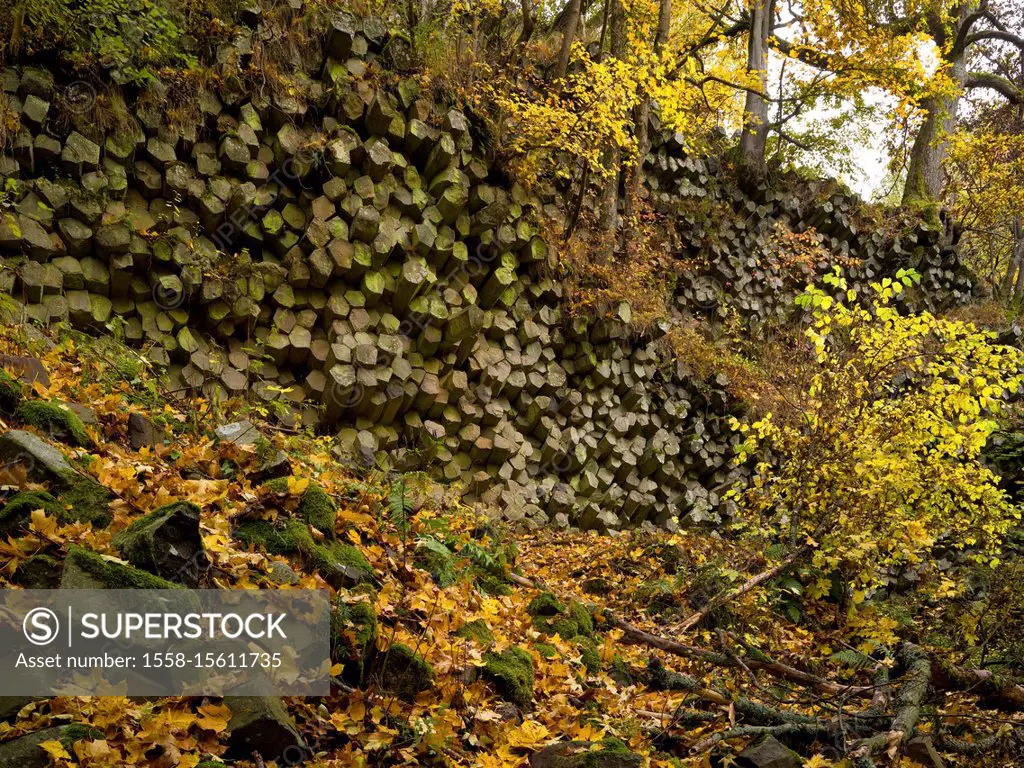 Germany, Bavaria, Rhön Biosphere Reserve, UNESCO biosphere reserve, Basaltprismenwand (basalt) on the Gangolfsberg, Long Rhön Nature Reserve