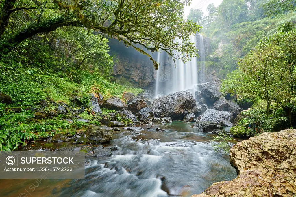 Landscape at the Zillie Falls, Atherton Tableland, Spring, Queensland, Australia