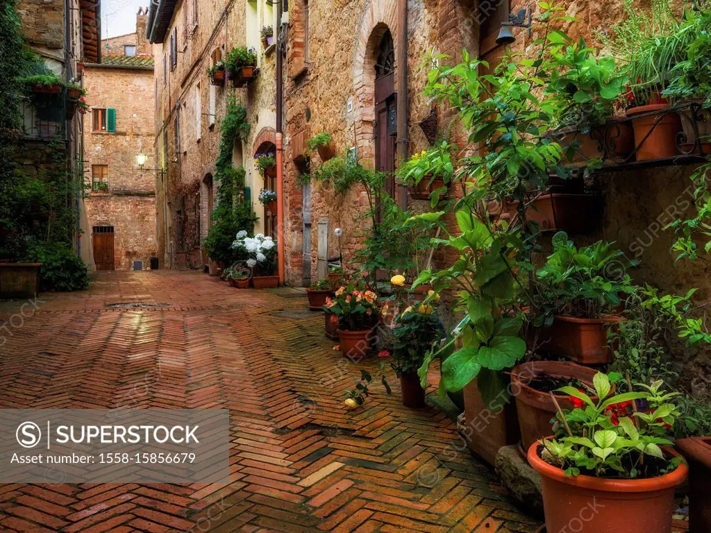 Town of Pienza, Val d'Orcia, Tuscany, Italy, alley with flower arrangements