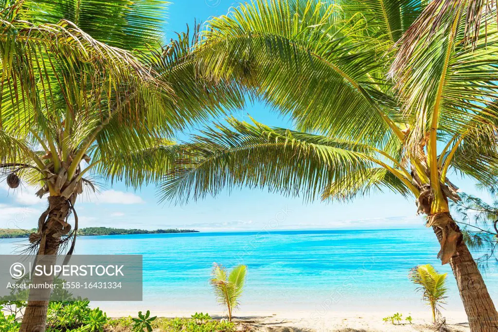 Tropical beach, Drawaqa Island, Yasawa island group, Fiji, South Pacific islands, Pacific