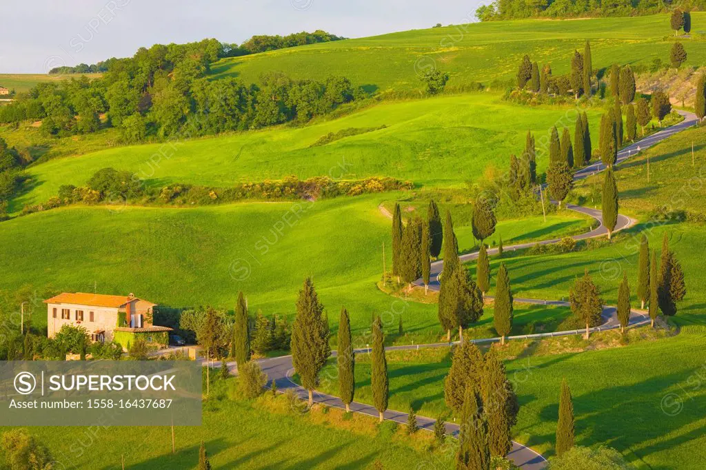 Italy, Tuscany, Val D'Orcia, Winding Road