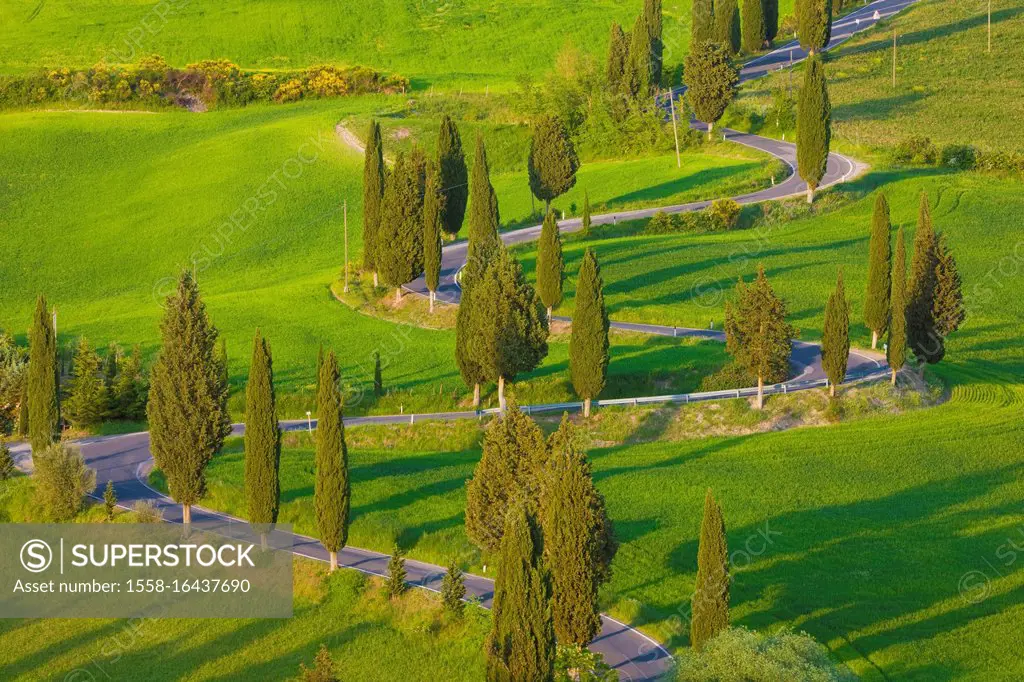 Italy, Tuscany, Val D'Orcia, Winding Road