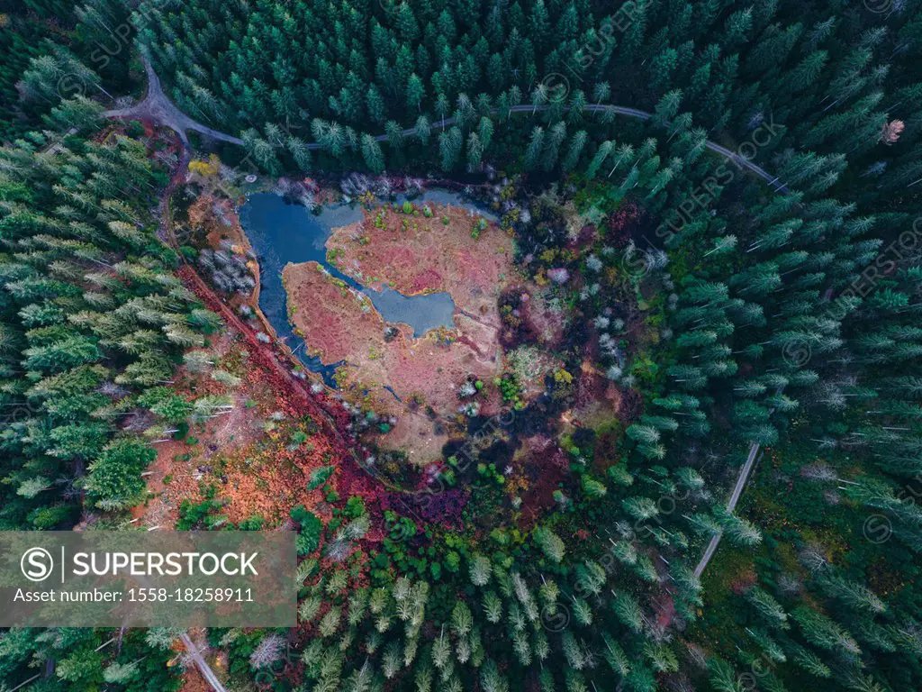 Ellbachsee, Black Forest, Baden-Wuerttemberg, Germany, Europe