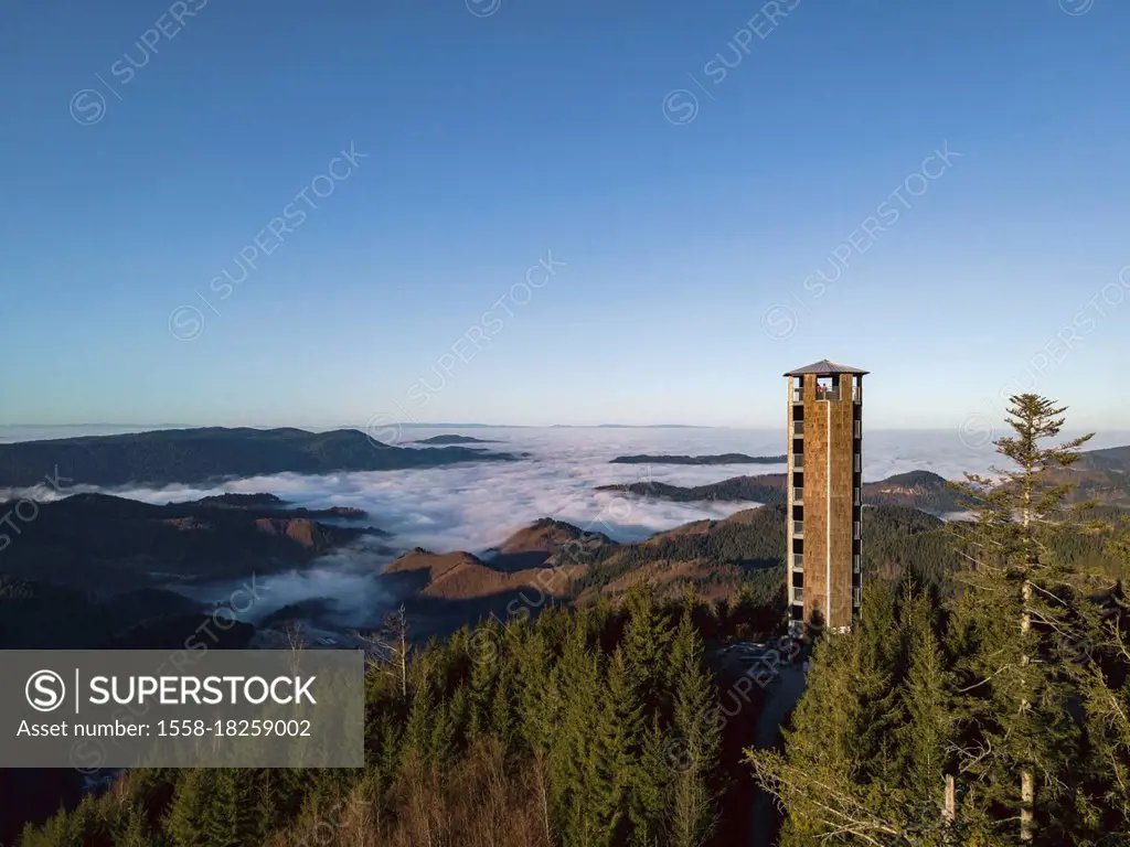 Sea of fog, Buchkopfturm, Black Forest, Baden-Wuerttemberg, Germany, Europe