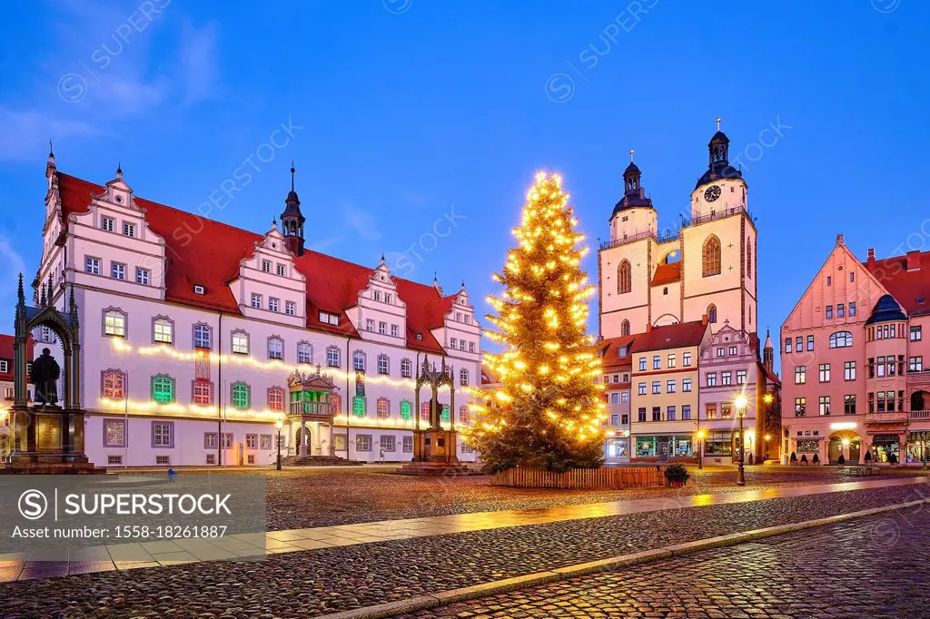 Market square with Christmas tree, town hall and St. Marien town church in Luherstadt Wittenberg, Saxony-Anhalt, Germany