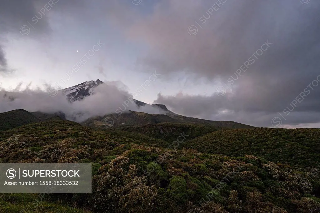 Summit of Mount Taranaki in Egmont National Park in evening mood, New Plymouth Province, North Island New Zealand