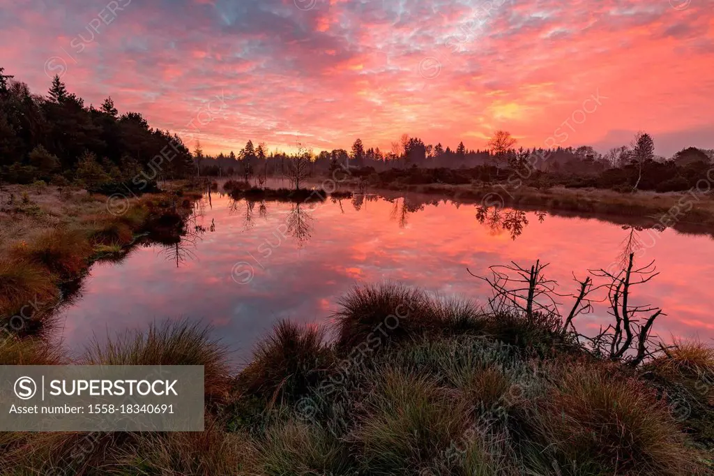 Wenger Moor in the morning.