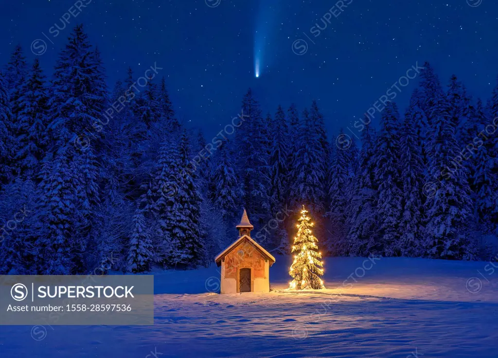 Illuminated Christmas tree in front of a chapel in winter, Bavaria, Upper Bavaria, Germany, Europe