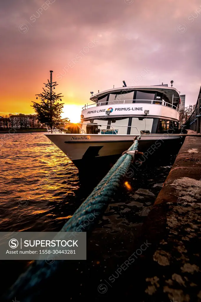 Christmas pier and ship of Primus Line, Christmas tree, sunset in Frankfurt am Main, Hesse, Germany