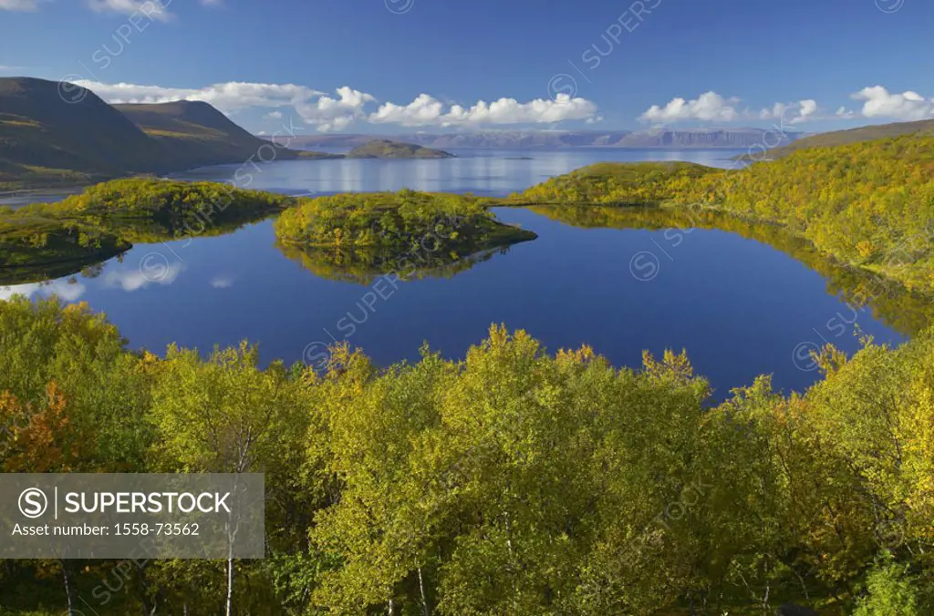 Norway, Finnmark, Lebesby,  Nordkinnhalvoya, overview,  Europe, Scandinavia, North Norway, nature, vegetation, trees, deciduous trees, forest, season,...