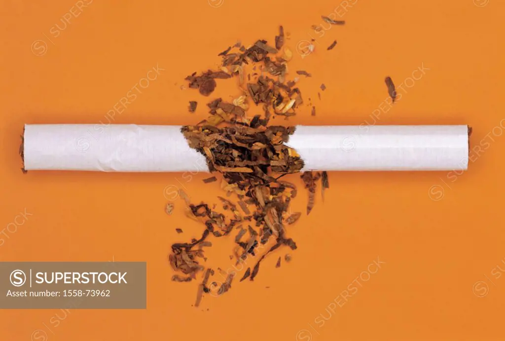 Cigarette, shattered, tobacco   Cigarette tobacco, shreds, zerbröselt, tobacco crumb, concept, smoking, luxury foods, health risk, illness, addiction,...