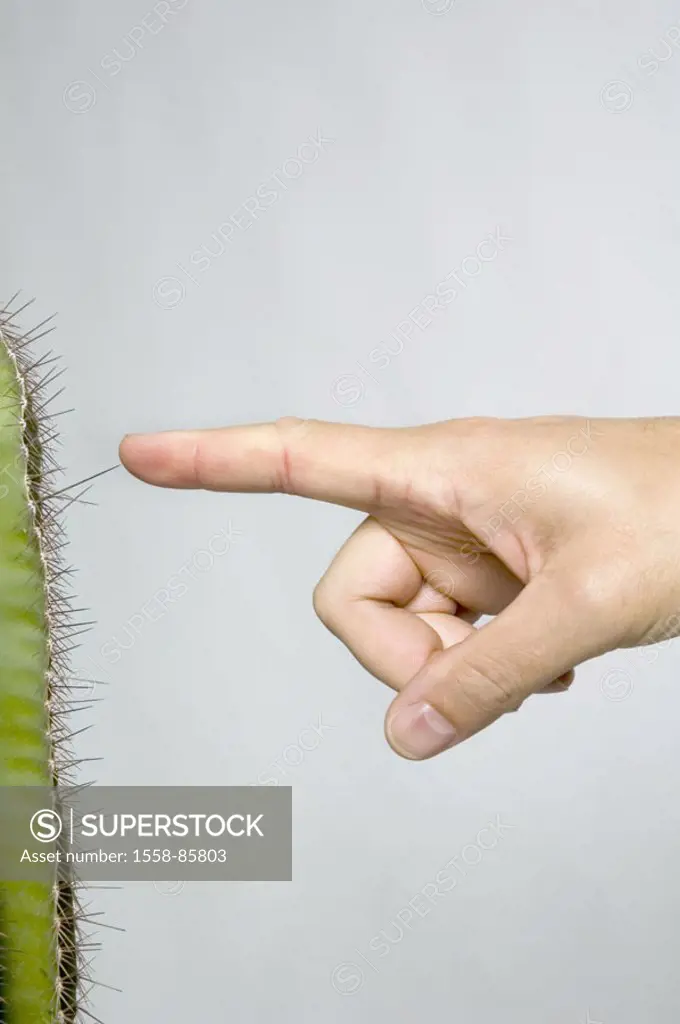 Hand, index fingers, cactus, thorn,  Touch, detail,   Series, men´s hand, column cactus, cereus spec., Cactus plant, thorn, concept, meadow, spiky,  I...