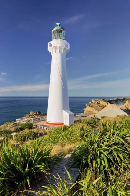 Castle Point lighthouse, Wellington, north Island, New Zealand