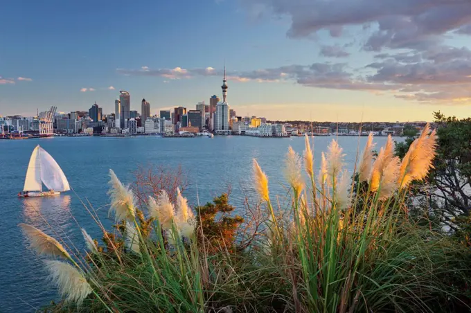 Stanley Bay, sailboats, skyline of Auckland, north Island, New Zealand