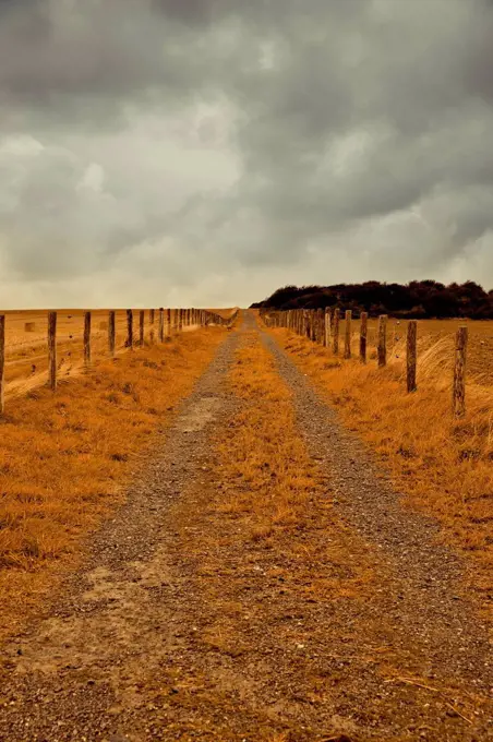 Country lane in autumn