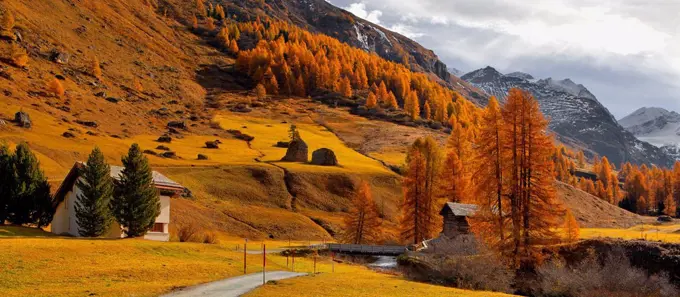 Switzerland, Oberengadin, late Autumn at the Fextal