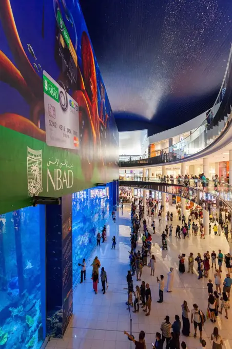 UAE, Dubai, Downtown Dubai, Dubai Mall, interior, aquarium