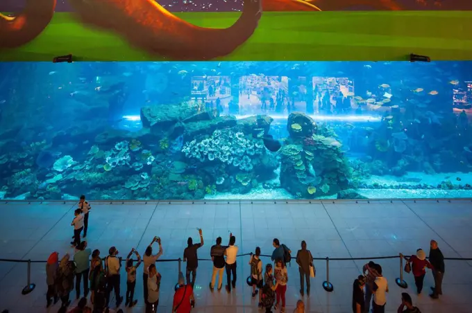 UAE, Dubai, Downtown Dubai, Dubai Mall, interior, aquarium