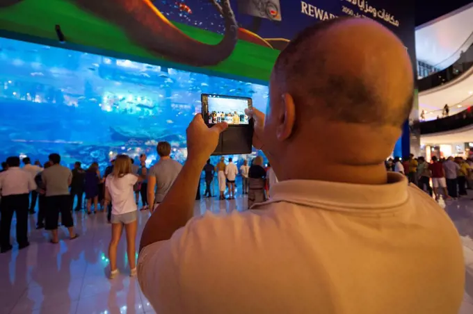 UAE, Dubai, Downtown Dubai, Dubai Mall, interior, aquarium