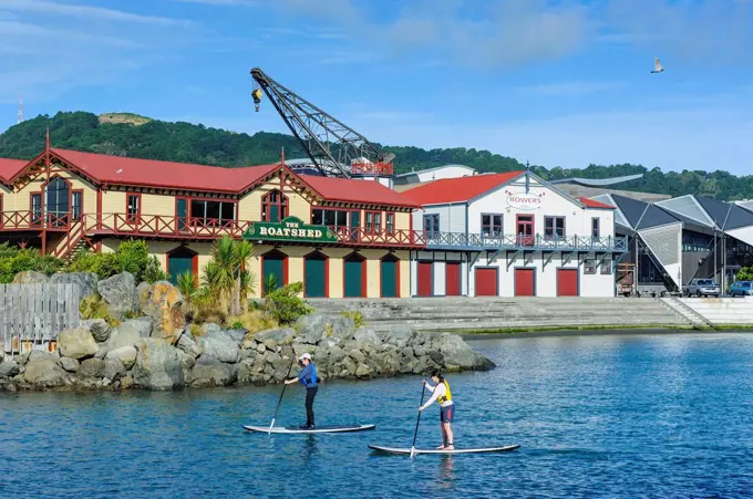 People practicing stand up paddling in Lambton harbour, Wellington, North Island, New Zealand