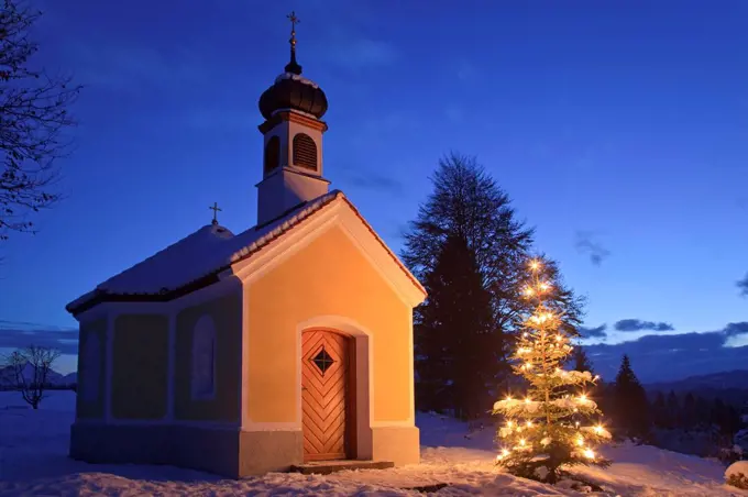 Christmas tree before the Chapel Maria Rast near Krün, Upper Bavaria, Bavaria, Germany,