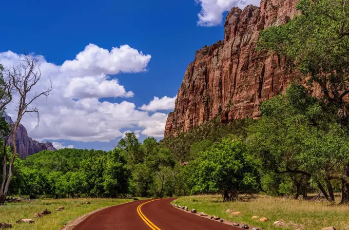 The USA, Utah, Washington county, Springdale, Zion National Park, Zion canyon, Scenic drive close Zion lodge